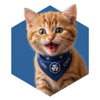 CROCAT Logo