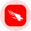 CrowdStrike (Ondo Tokenized Stock) Logo