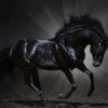 Dark Horse Logo