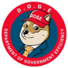 Department Of Government Efficiency Logo
