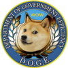 Department Of Government Efficiency Logo
