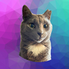 DIAMOND The Cat Coin Logo