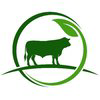Dimitra Logo
