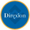 Direxion Daily 20 Year Treasury Bull 3X ETF (bStocks Tokenized ETF) Logo