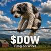 Dog on Wire Logo