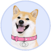 DogeGF Logo