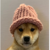 dogwifhat Eth Logo