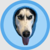 DOGWIFHOOD Logo