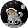 Dogz Logo