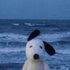 Doug Logo