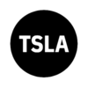 Tesla Tokenized Stock Defichain Logo