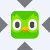 Duolingo xStock Logo