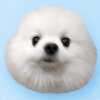Durovs Dog Logo