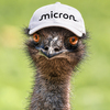 EMU Logo