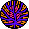 Sonic Eco Logo