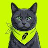 Fidel Catstro Logo