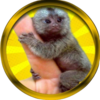 Finger Monkey Logo