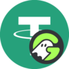 Geist fUSDT Logo