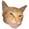Giga Cat Logo