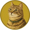 GinnanCoin Logo