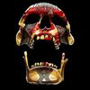 Gold Fever Native Gold Logo