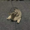 Gomu Gator Logo