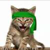 Green Kitten Crew Logo