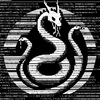 H1DR4 by Virtuals Logo