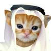 Habibi (Sol) Logo