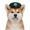 hachi Logo