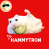 HAMMY Logo