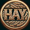 HayCoin Logo