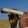 High AF Logo