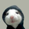 hood rat Logo