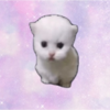 hop cat Logo