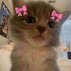 iiii lovvvv youuuu Logo