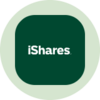 iShares 3-7 Year Treasury Bond ETF (Ondo Tokenized) Logo