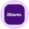 iShares Core MSCI EAFE ETF (Ondo Tokenized ETF) Logo