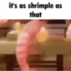 its as shrimple as that Logo