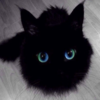 jacky Logo