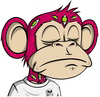 jungle bay memes Logo