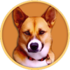 Ken Logo