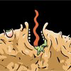 Licker Logo