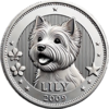 Lily's Coin Logo