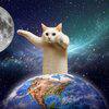 Longcat Logo