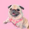 LOULOU Logo