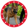 MAGA DOG Logo