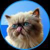 Mr. Miggles Logo