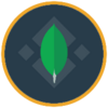 MongoDB (bStocks Tokenized Stock) Logo