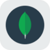 MongoDB rStock Logo